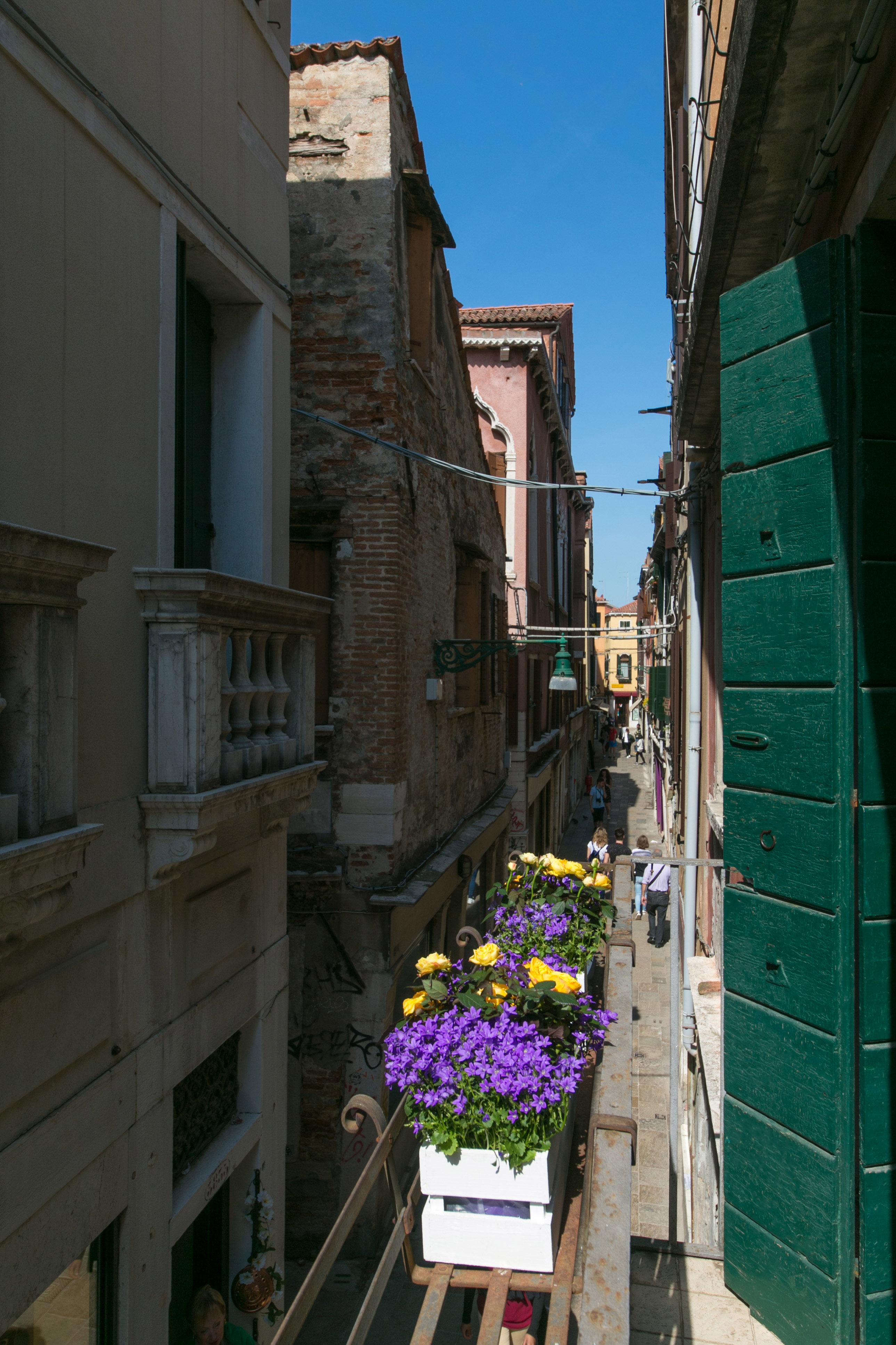 Pantalon Hotel Venezia